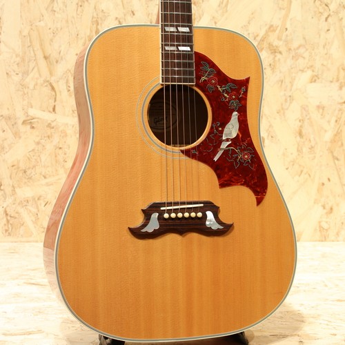 Gibson dove 2007 chitarra - dove, an