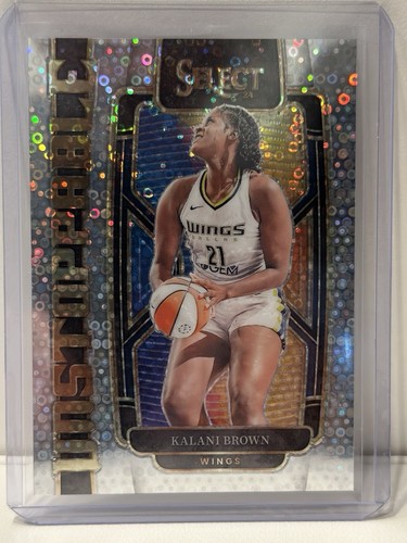 2024 panini select wnba - panini,