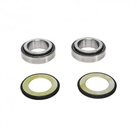 Prox 110010 kit cuscinetti - 24.110010,