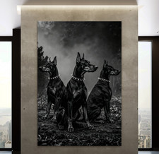 Quadro cani Dobermann, tela
