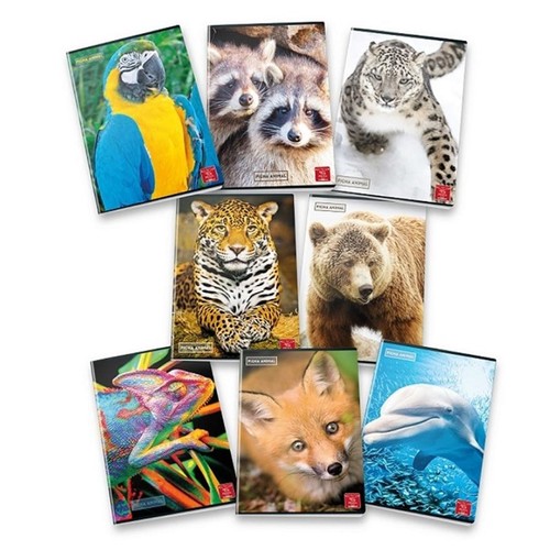 Pigna animal set - animal, 20