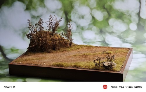 Base diorama selvaggio