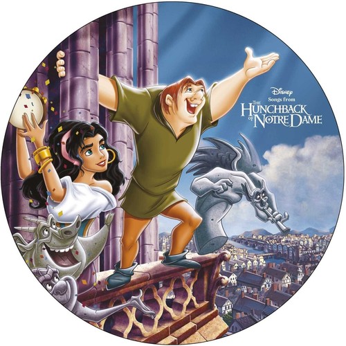 The hunchback notre dame - the,