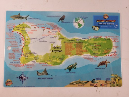 10pc grand cayman island dive - 10pc,