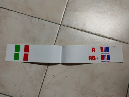 Adesivo sticker nomi piloti - adesivo,
