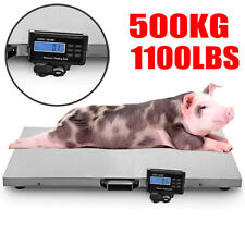 1000lbs Animal Scale Stainless