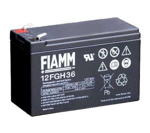 12fgh36 8009601220277 batteria - 12fgh36,