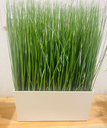 Ikea fejka pianta artificiale - ikea,
