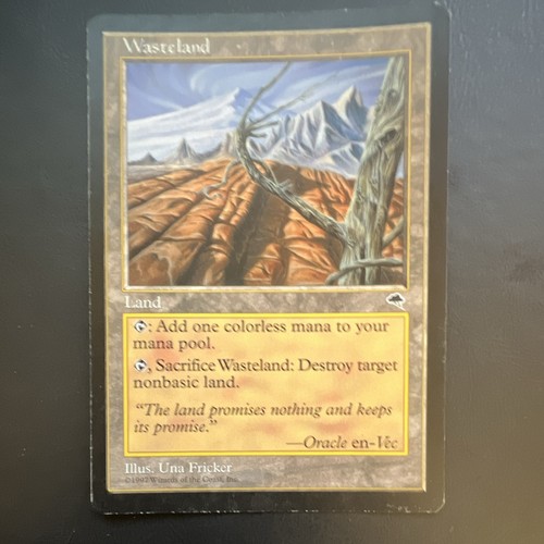 Wasteland tempest non - non, comune