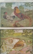 2 ANTICHE STAMPE COLORI 1910 G. B. GRANDI MODELLI D’ARTE DECORATIVA GALLI ANATRE