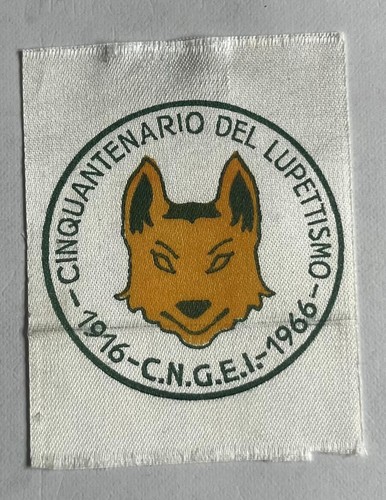 Scout cinquantenario del - cinquantenario,