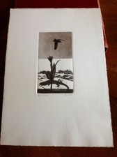 Nino Terziari prova d'autore