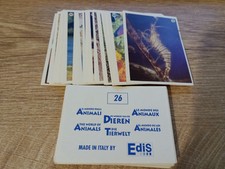 mancolista figurine il mondo