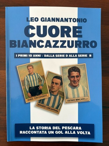 Cuore biancazzurro storia - cuore,