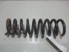 Molla elicoidale posteriore