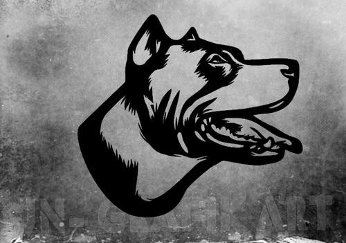 Adesivo pitbull pit bull - adesivo,