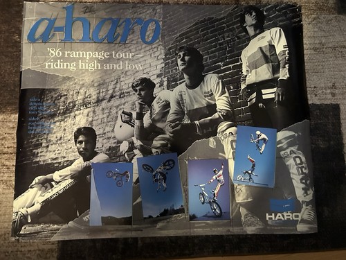 Poster vintage bmx 1986 - poster,