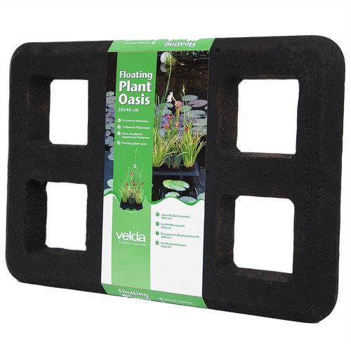Pianta galleggiante velda oasi - pianta,