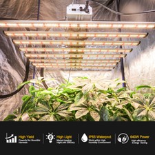 Phlizon 640 W con barra LED