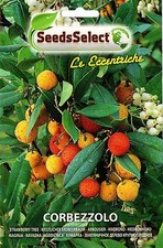50 Semi / Seeds CORBEZZOLO