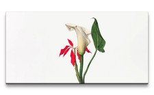 120x60cm Remaster Botanica