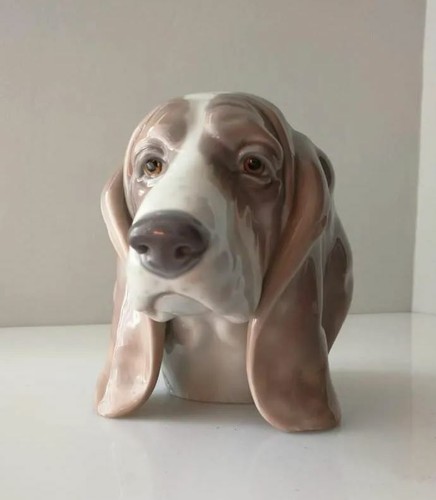 Testa cane beagle - di, di