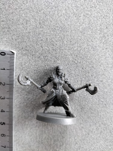 Femle human barbarian - femle,