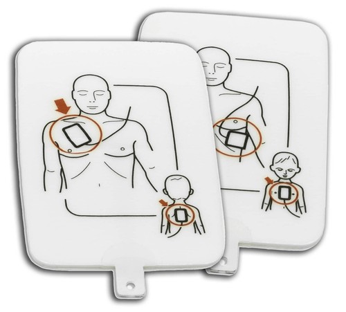 Dae trainer pads per - pads,