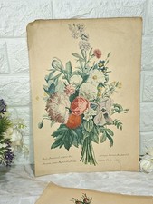 ANTICA STAMPA BOTANICA BOUQUET FIORI MISTI CM 34X24 
