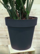 Vaso rotondo cleo con - rotondo,