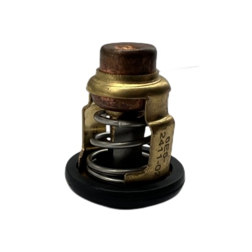 Termostato motore 6e5 12411 - motore, 6e5-12411