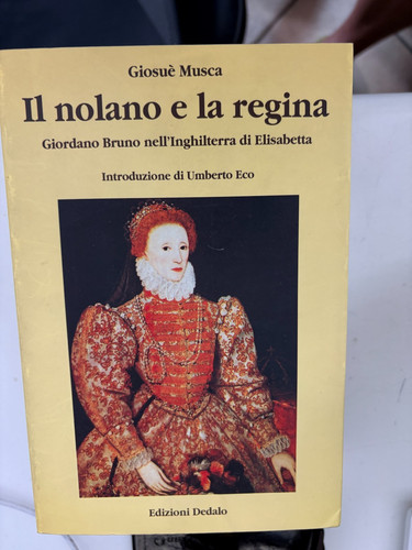Musca nolano regina - musca,,