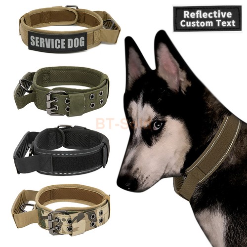 Collare cane animale - , domestico