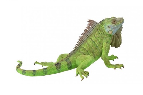 Collecta 88965 iguana - collecta,