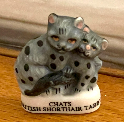 Adorable fève chats british - fève,