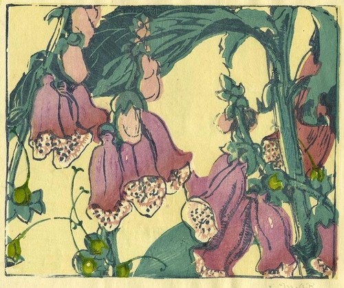 Foxgloves mabel royds 1934 - foxgloves,
