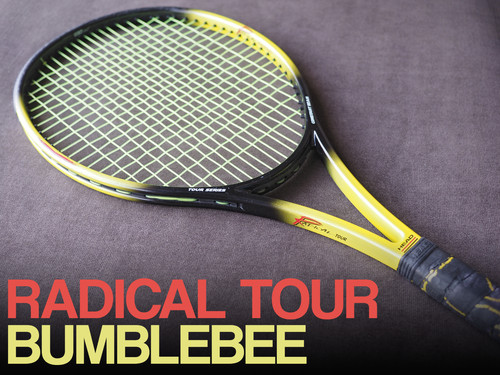 Bumblebee head radical - ☆bumblebee☆,