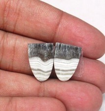 Zebra naturale calcite