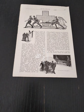 1916 LA SANITA MILITARE TRASPORTO FERITI CROCE ROSSA TRENO OSPEDALE DA CAMPO