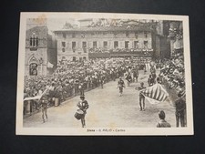 PALIO DI SIENA CORTEO PANTERA