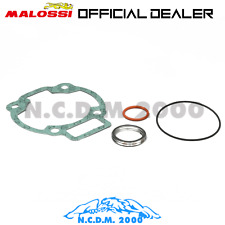 GUARNIZIONI MALOSSI GRUPPO