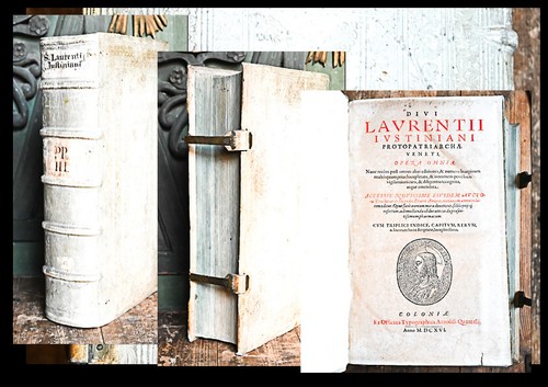 1616 nastro goffrato - 1616,