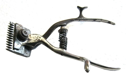 Tosatrice taglia capelli anni - taglia,