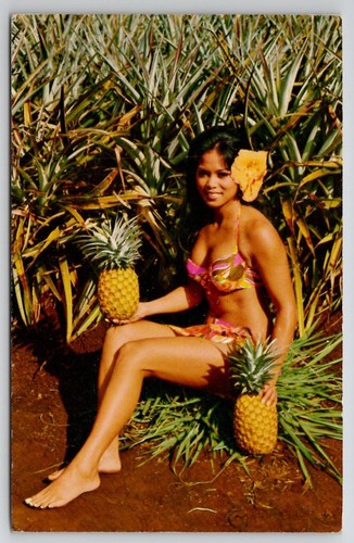 Cartolina honolulu hawaii 1979 - cartolina,