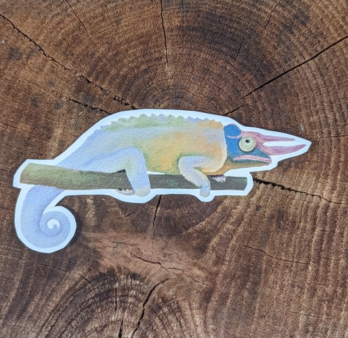 Adesivo jacksons chameleon - adesivo,