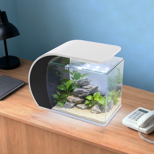 Piccolo acquario vetro con - acquario,