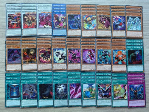 Signer dragon deck core - dragon, (81