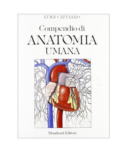 Compendio anatomia umana - compendio,