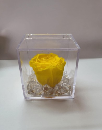 Rosa gialla stabilizzata - gialla,