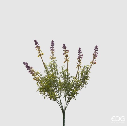 Edg ramo lavanda olis - edg, 7